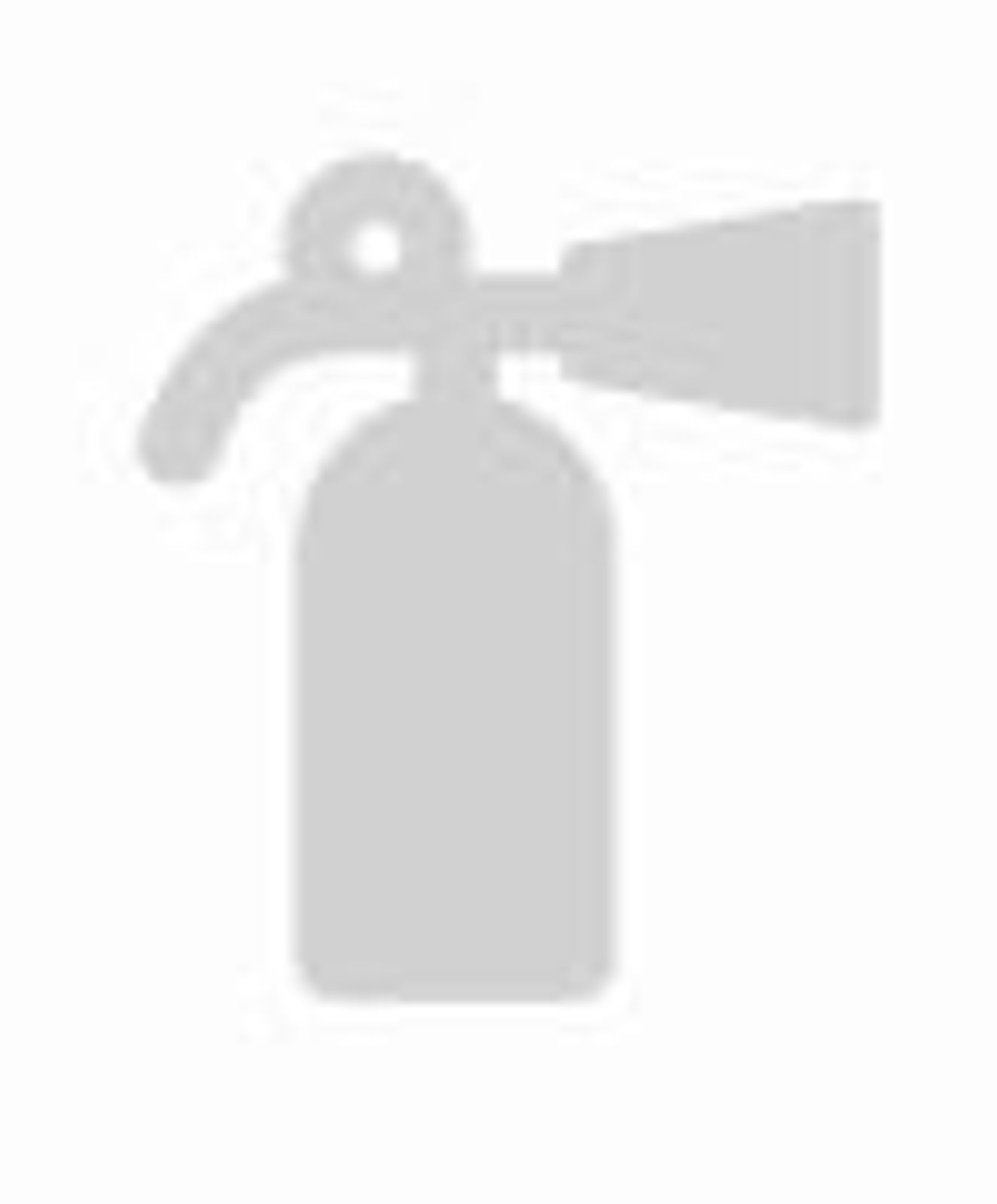 incendie.JPG